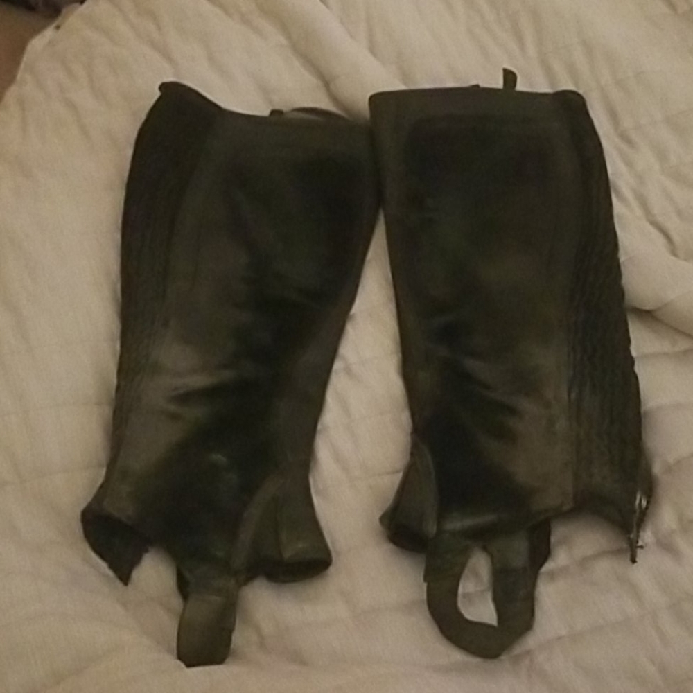 Ariat Half Chaps